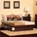 Platform Bed, 2 Drawers, Full