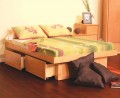Galaxy Platform Bed, 2 Drawers, Full